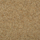 Marigold Natural Berber Twist Deluxe 55oz Carpet by Cormar