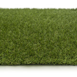 Inglewood Artificial Grass