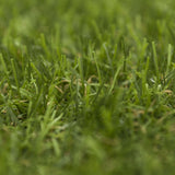 Inglewood Artificial Grass