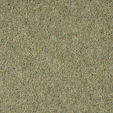 Woodland Heather 55oz Twist Deluxe Carpet