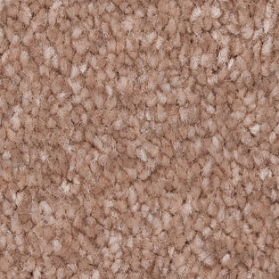 Mellow Mocha 34 Promenade Carpet Clearance