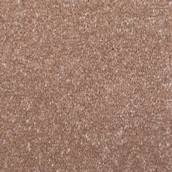 Mellow Mocha 34 Promenade Carpet Clearance