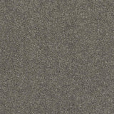 Mercury 176 Ultimate Twist Intenza Carpet