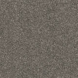 Mercury 176 Ultimate Twist Intenza Carpet