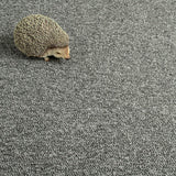 Mid Grey Fraser Feltback Saxony Carpet