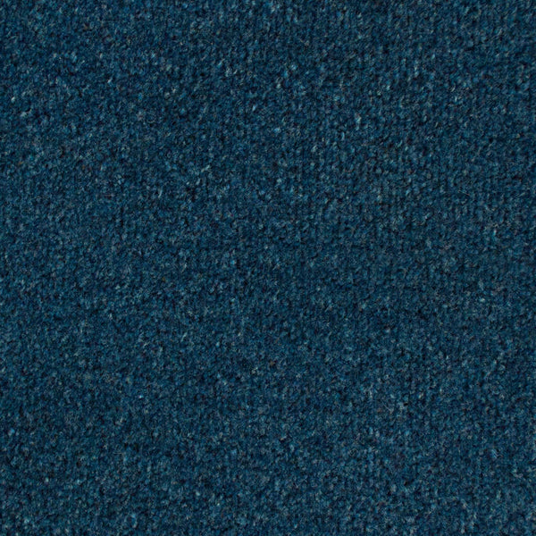 Midnight Blue 897 Easy Living Carpet | Buy Easy Living Carpets Online ...