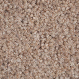 Millstone 50oz Home Counties Heathers Carpet by Cormar