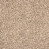 Stainaway Ultra Carpet