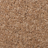 Prestige Twist Deluxe 53oz Carpet