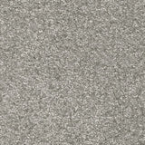 Morning Mist 92 Dorado 56oz Invictus Gaia Carpet