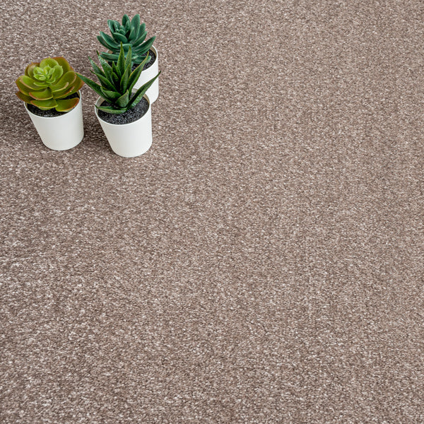 Mushroom 41 Promenade FusionBac Carpet | AW Carpets | Online Carpets