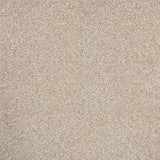 Stainaway Ultra Carpet