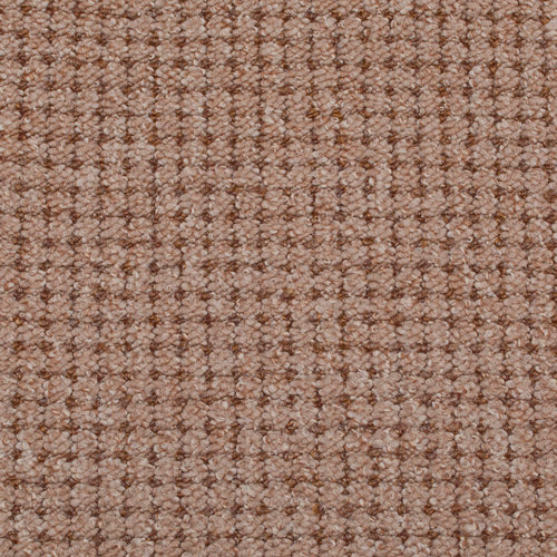 Beige Dotted Berber Loop Carpet