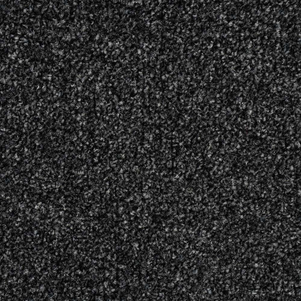 Night Sky 99 Stainaway Harvest Heathers Deluxe Carpet