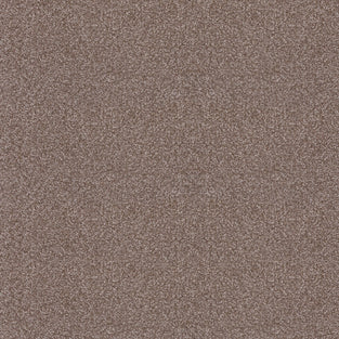 Cappuccino 800 More Noble Saxony Feltback Carpet