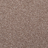 Beige Brown Noble Saxony Carpet