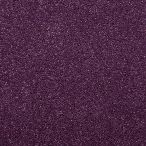 Purple Plum Barn Twist Carpet