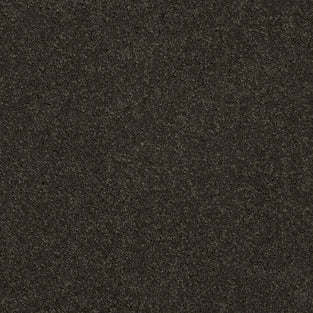 Noir 78 Ultimate Twist Intenza Carpet