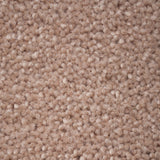 Nutkin 50oz Home Counties Carpet by Cormar