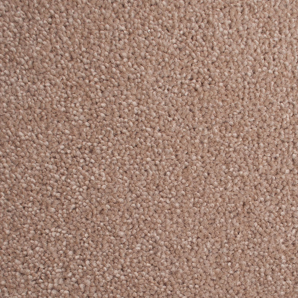 Nutkin 50oz Home Counties Carpet by Cormar