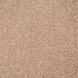 Nutmeg 31 Stainaway Ultra Carpet