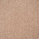 Nutmeg 31 Stainaway Ultra Carpet