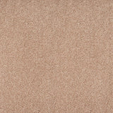 Nutmeg 31 Stainaway Ultra Carpet