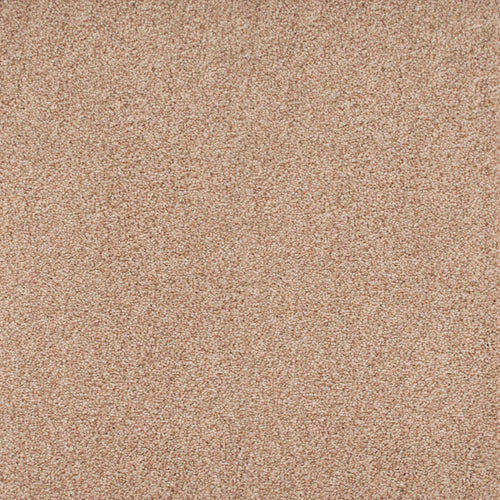 Nutmeg 31 Stainaway Ultra Carpet