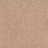 Nutmeg 31 Stainaway Ultra Carpet