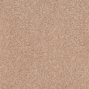 Nutmeg 31 Stainaway Ultra Carpet