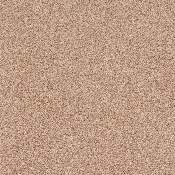 Nutmeg 31 Stainaway Ultra Carpet