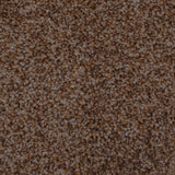 Stainaway Harvest Heathers Deluxe Carpet