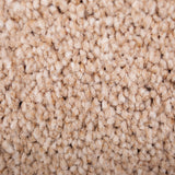 Oak 731 Satisfaction Regency Carpet