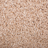 Oak 731 Satisfaction Regency Carpet