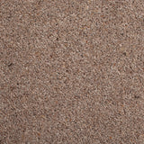 New Forest 38oz Wilton Carpet