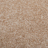 Stainaway Harvest Heathers Deluxe Carpet