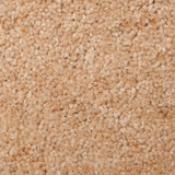 Prestige Twist Deluxe 53oz Carpet