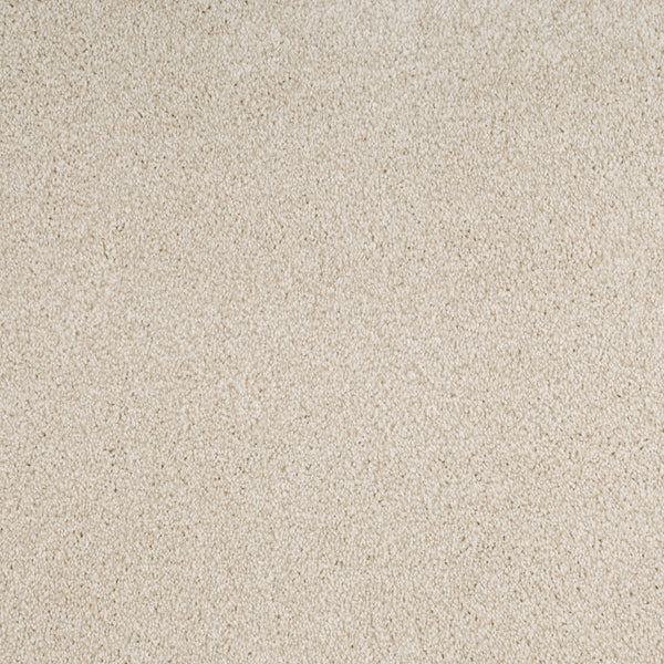 Onyx 69 Serano Elite Intenza Carpet