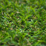 Dales 17mm Artificial Grass