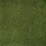 Bretton Vale Artificial Grass