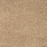 Pale Umber 35 Orion 50oz Invictus Carpet