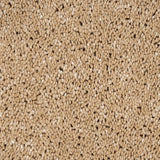 Pale Umber 35 Orion 50oz Invictus Carpet