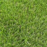 Palmbank 35mm PU Backed Artificial Grass