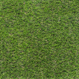 Palmbank 35mm PU Backed Artificial Grass