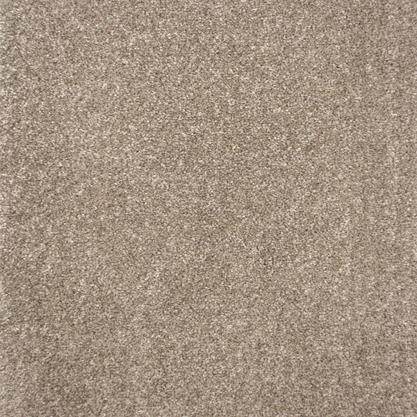 Walnut 111 Pampas Saxony Carpet