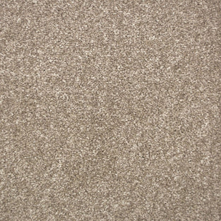 Walnut 111 Pampas Saxony Carpet