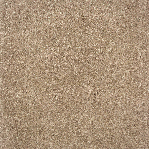 Light Brown 541 Pampas Saxony Carpet