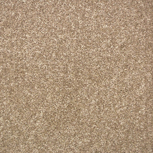 Light Brown 541 Pampas Saxony Carpet