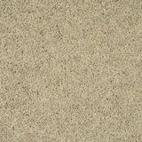 Papyrus Woodland Heather 55oz Twist Deluxe Carpet