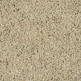 Papyrus Woodland Heather 55oz Twist Deluxe Carpet